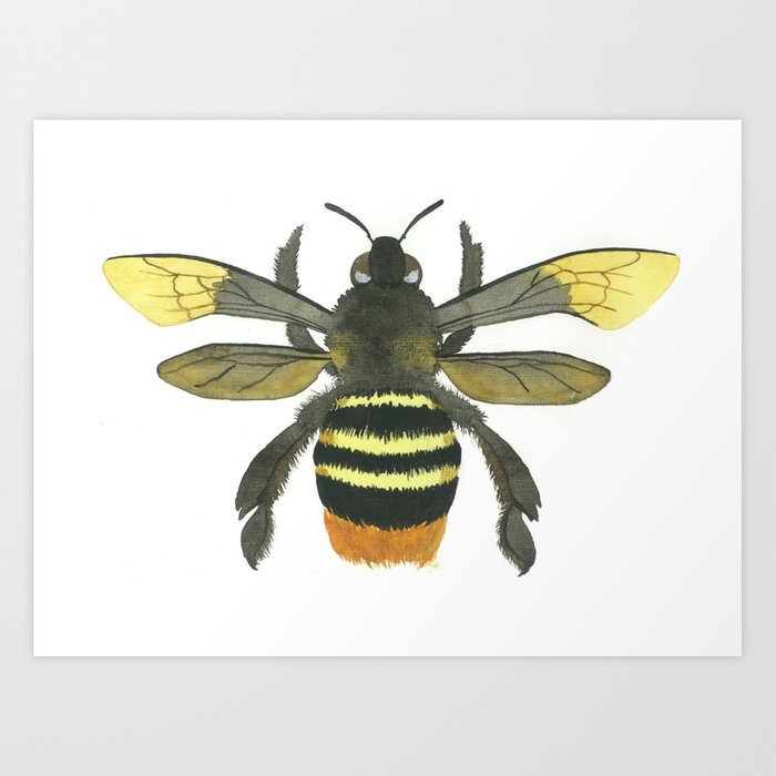 700x700 Bumble Bee Watercolor Art Print Art Print By Adriennerose Society6