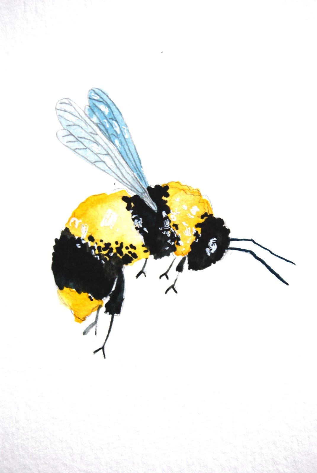 Bumble Bee Watercolor at GetDrawings | Free download