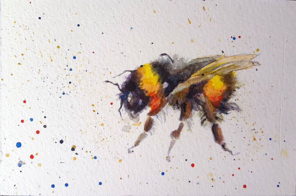 1000x665 Prints Available, Original Sold Bumblebee V