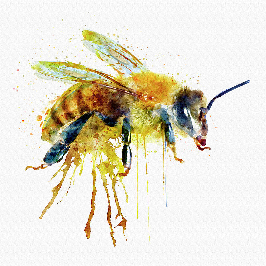 900x900 Watercolor Bee Painting By Marian Voicu
