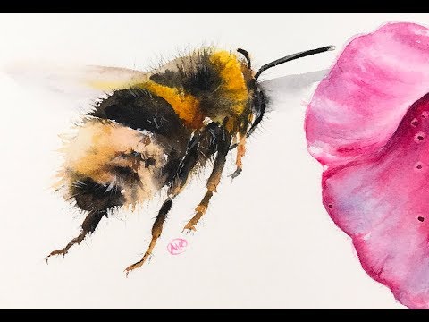 480x360 Watercolor Bumble Bee Painting Demo