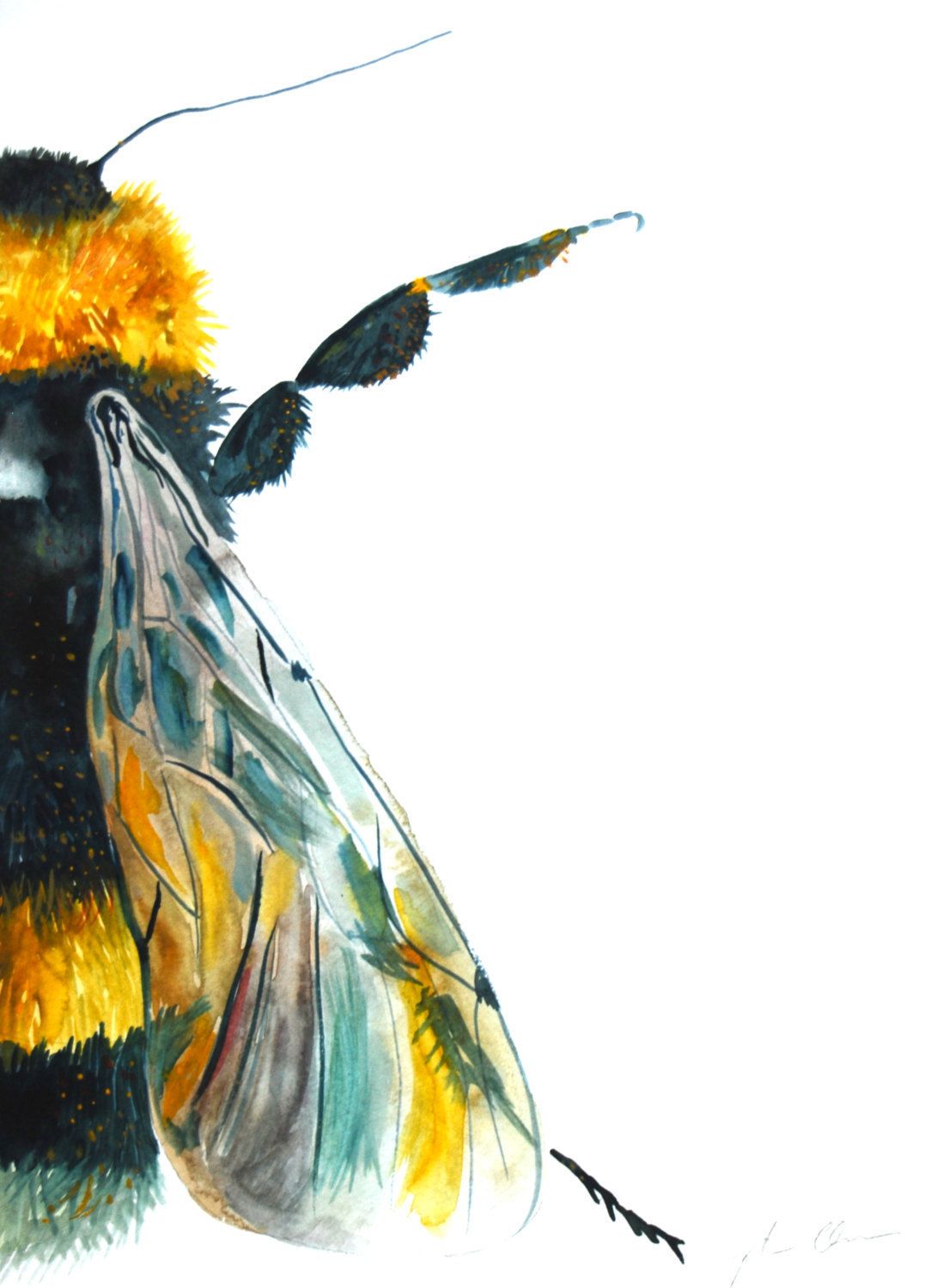 1105x1500 Watercolor Painting, Original Art, Bumble Bee, Large, 11x15