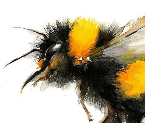500x425 Bumble Bee Watercolor Giclee Print Handmade