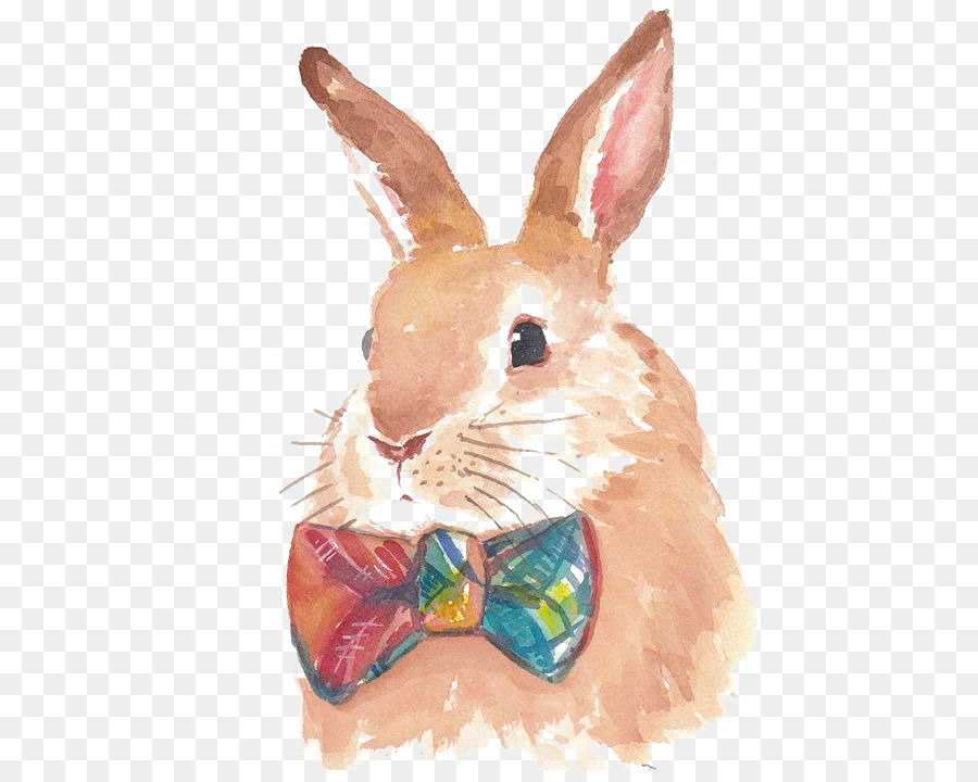 900x720 Hare Bunnies Amp Rabbits Watercolor Painting Drawing