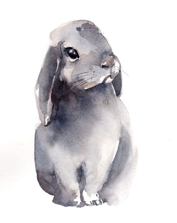 570x717 Painting Of Bunny, Original Watercolor Painting, Rabbit Painting
