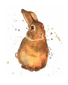 240x300 Rabbit Watercolor Paintings Fine Art America