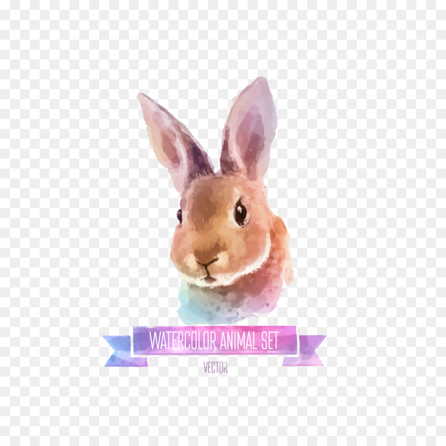 900x900 Rabbit Watercolor Painting Illustration