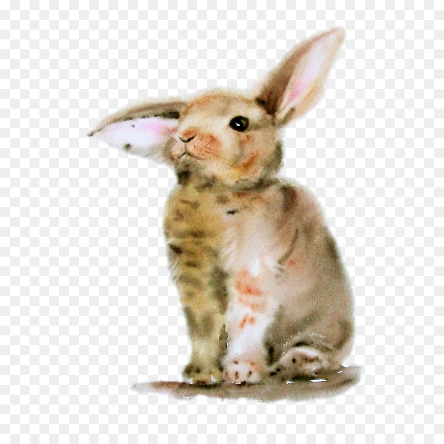 900x900 Bugs Bunny Rabbit Watercolor Painting