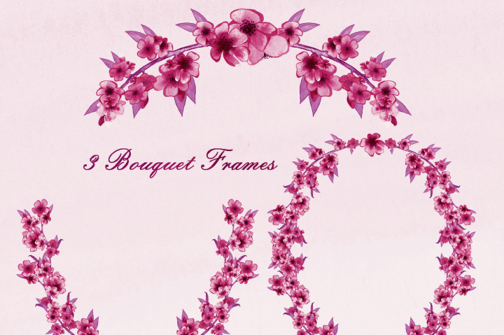 720x479 Burgundy Watercolor Sakura Branches Floral Clipart Set Cherry