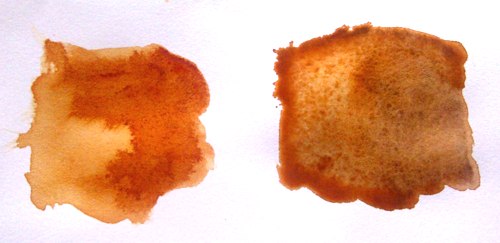 500x243 Burnt Sienna Recommendations