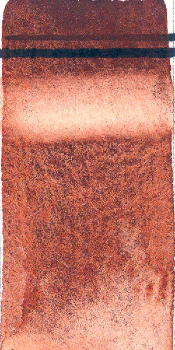 600x1200 French Burnt Sienna Watercolor Paint