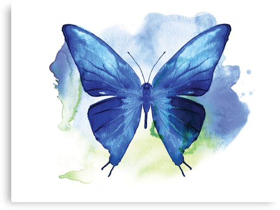 550x412 Butterfly Watercolour Painting Canvas Prints By Leonabeth Redbubble