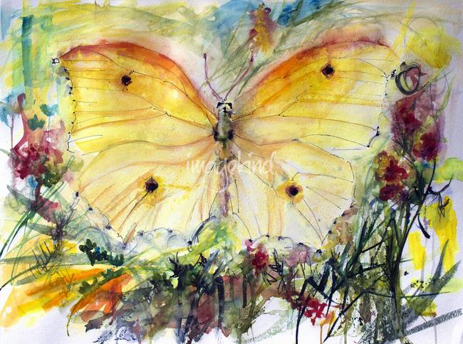 650x483 Yellow Butterfly Watercolor Painting By Ginette Callaway