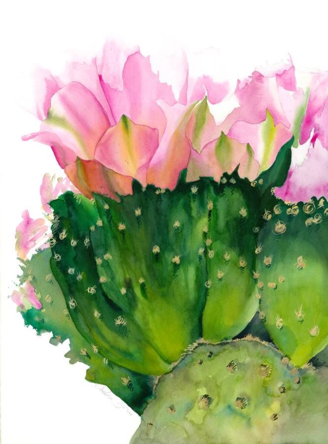 665x900 Chuck Mcpherson ~ Cactus Flower, Watercolor, 22x30 Inches. Http