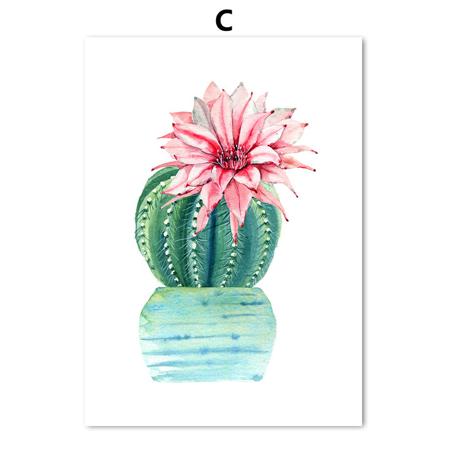 920x920 Buy Colorfulboy Cactus Flower Wall Art Print