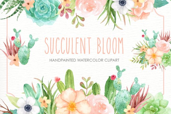 570x382 Succulent Bloom Watercolor Cliparts Cactus Flower Clipart Etsy
