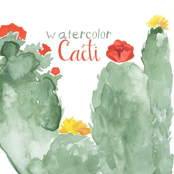 570x570 Watercolor Cactus Flower Clip Art For Scrapbooking Instant Etsy