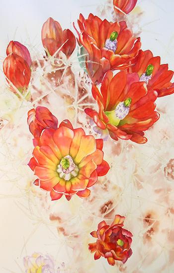 350x548 Watercolor Painting Demonstration Of Orange Cactus Flowers By