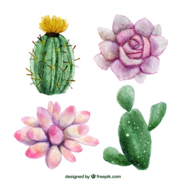 626x626 Watercolor Hand Painted Flowers And Cactus Vector Free Download