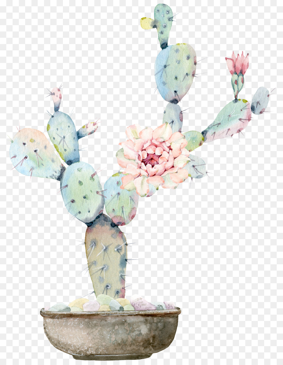 900x1160 Watercolour Flowers Watercolor Painting Cactaceae Drawing