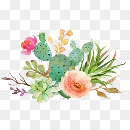260x260 Cactus Flower Png, Vectors, Psd, And Clipart For Free Download