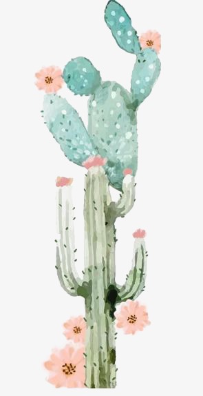 295x574 Cactus, Watercolor Cactus, Drawing Plant, Green Png Image And