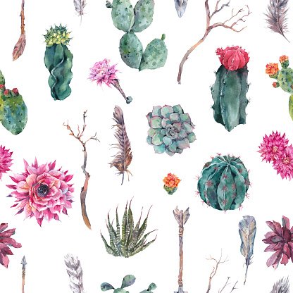 416x416 Cactus Watercolor Seamless Pattern In Boho Premium Clipart