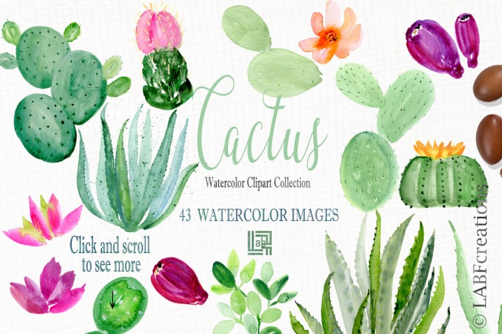 720x479 Cactus Watercolor Clipart Collection. Watercolour Cactuses And