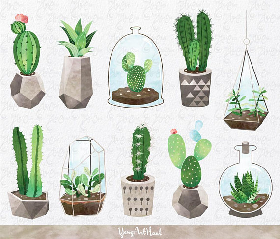570x488 Collection Of Free Cacti Clipart Succulent. Download On Ubisafe