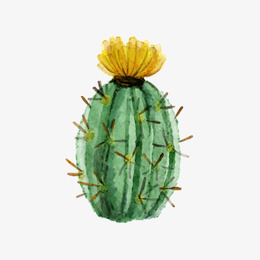 260x260 Download Cactus Png Watercolor Clipart Cactus Watercolor Painting