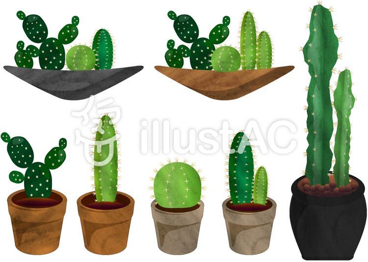 750x535 Free Cliparts Cactus Watercolor