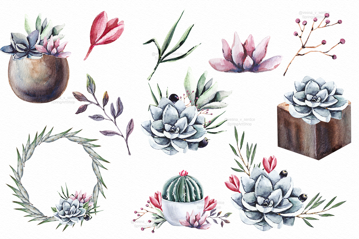 1160x772 Succulents Amp Cactus Watercolor Clipart By Springartshop