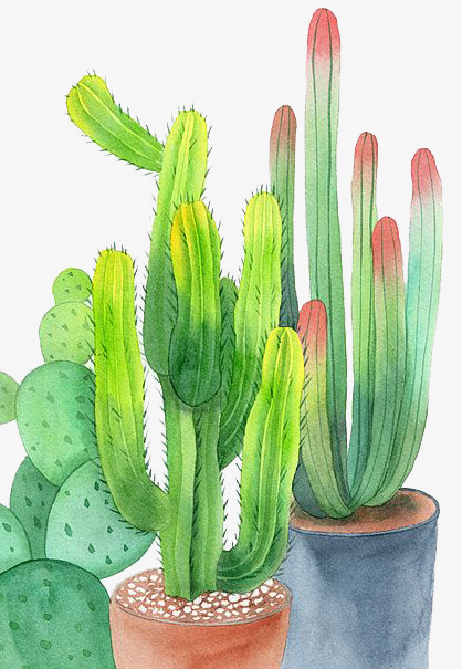 418x605 Watercolor Cactus, Watercolor Clipart, Watercolor, Cactus Png