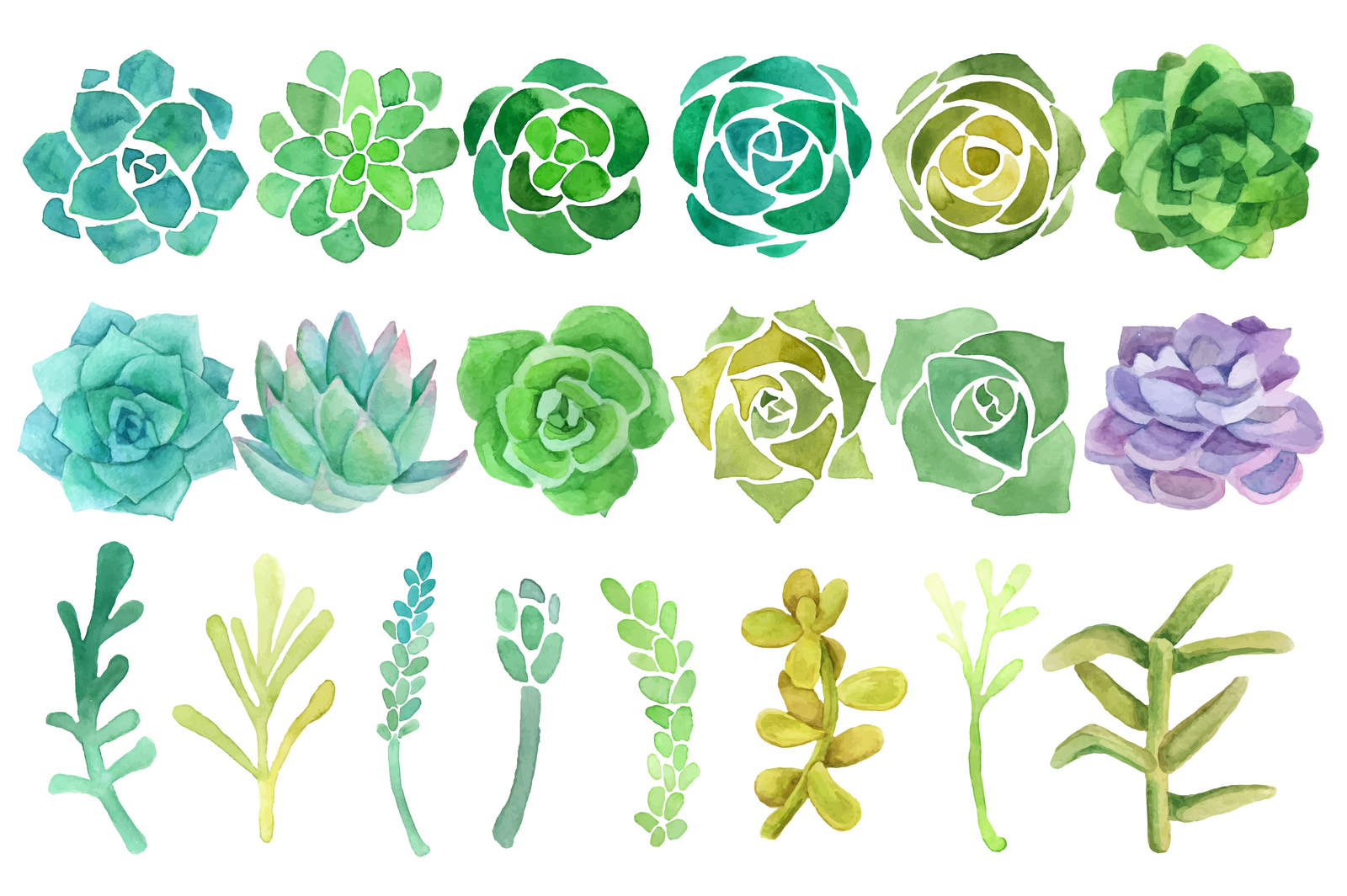1600x1065 Watercolor Cactus And Succulent Set In Illustrations On Yellow