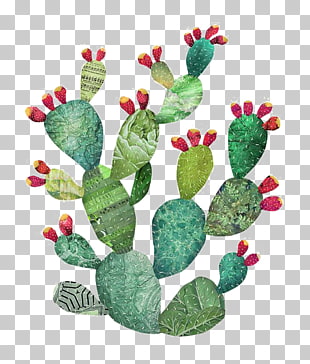 310x364 871 Cactus Watercolor Png Cliparts For Free Download Uihere