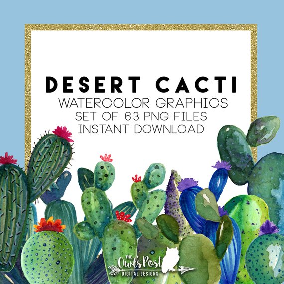 570x570 Cacti Clipart Cactus Watercolor Clipart Desert Graphics Etsy