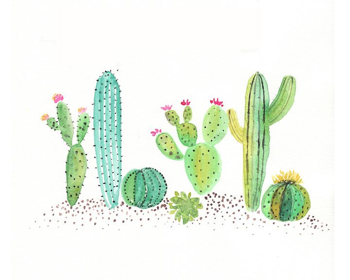 720x576 Free Watercolor Cactus Printable Polyvore Cacti