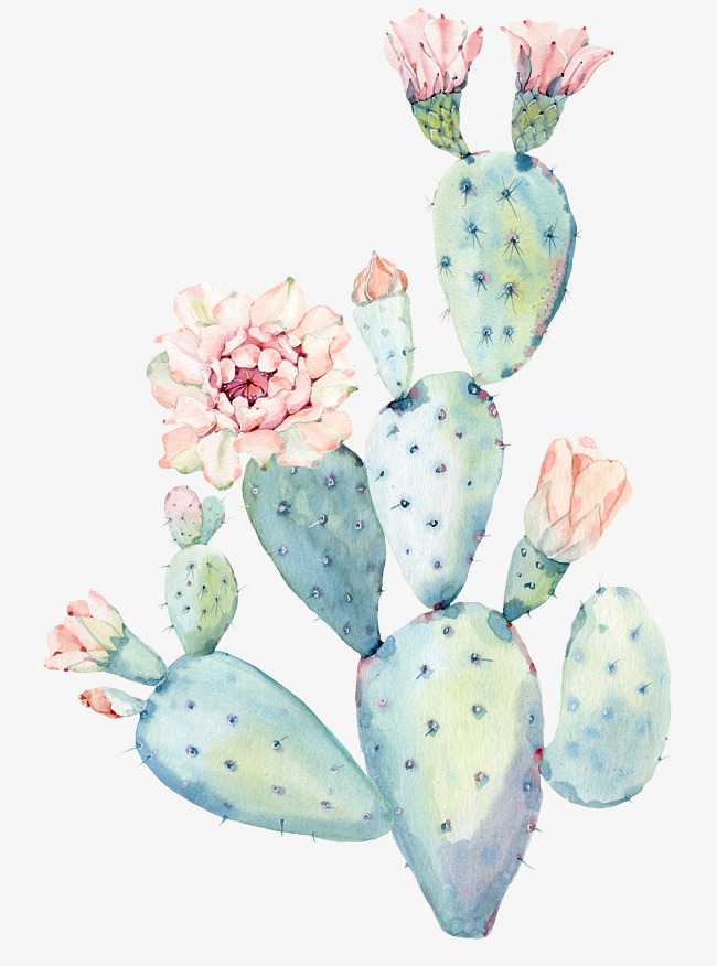 650x876 Hand Painted Watercolor Cactus, Watercolor Clipart, Hand