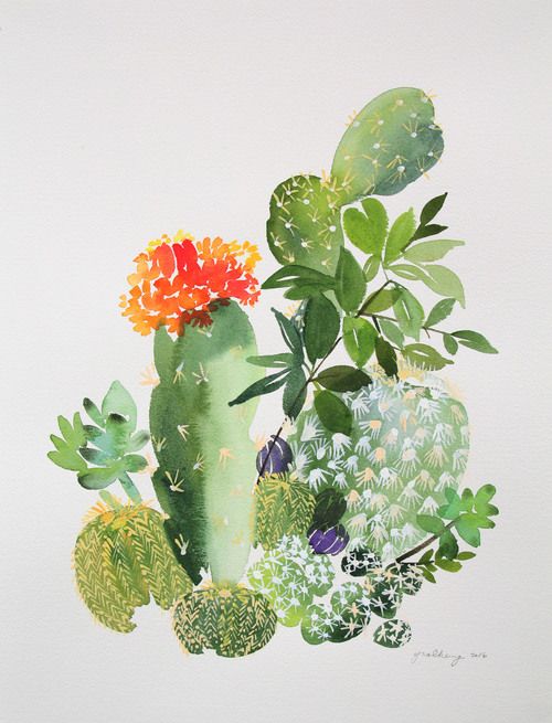500x655 Pin By Red Panda On Art And Photography Cacti