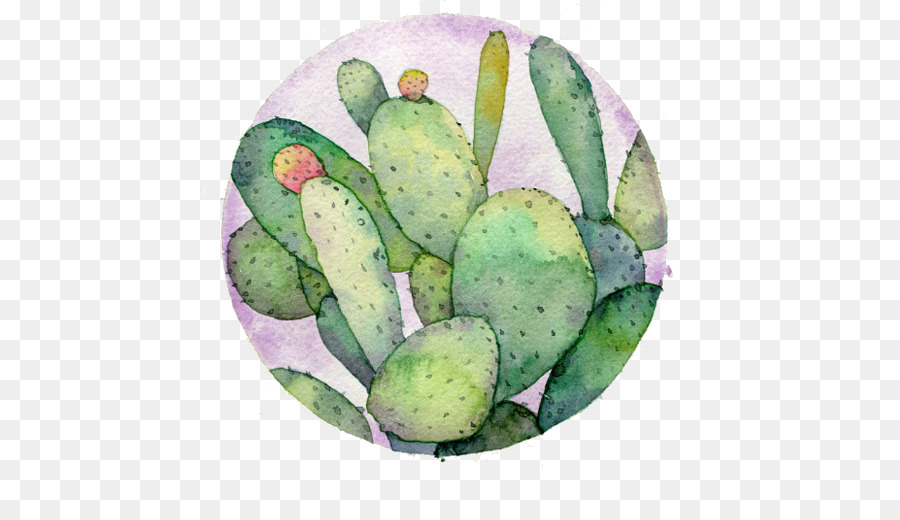 900x520 Watercolor Flowers Watercolor Painting Drawing Cactaceae