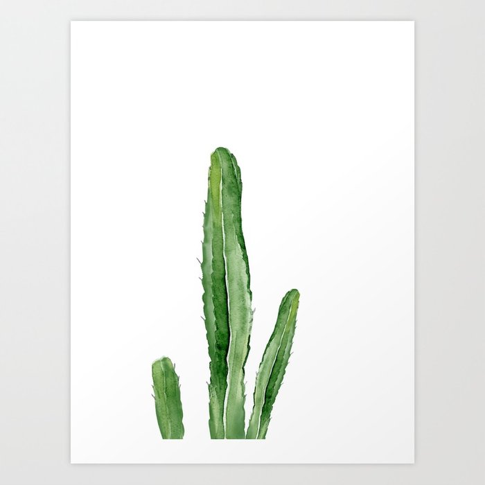 700x700 Cactus. Watercolor Plant. Art Print By Asolo Society6