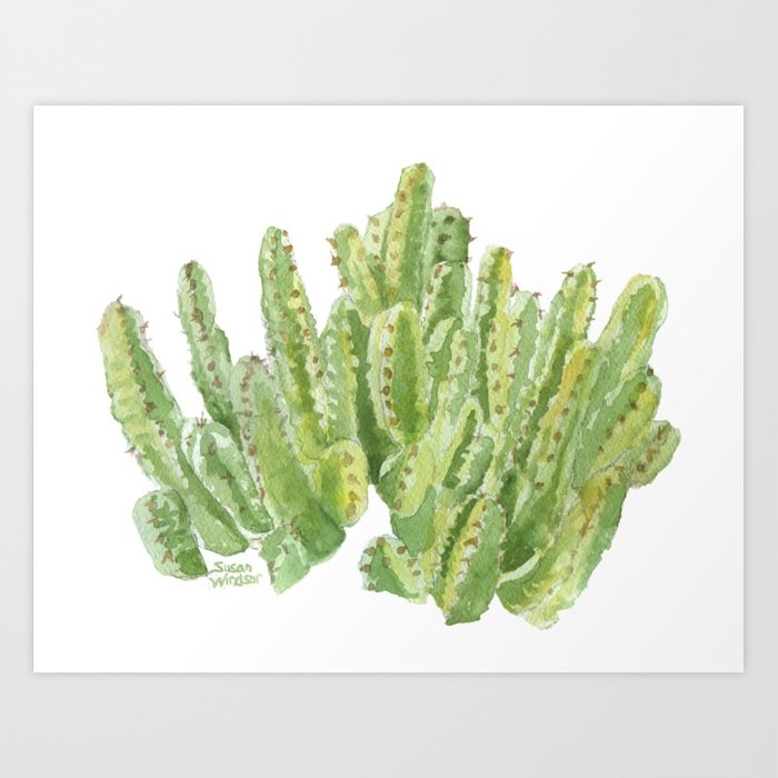 700x700 Moroccan Mound Cactus Watercolor Art Print By Susanwindsor Society6