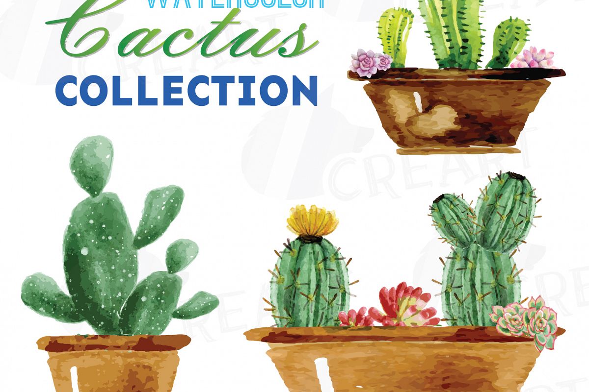 1200x800 Watercolor Cactus And Watercolor Succulent Clipart Pack, Green