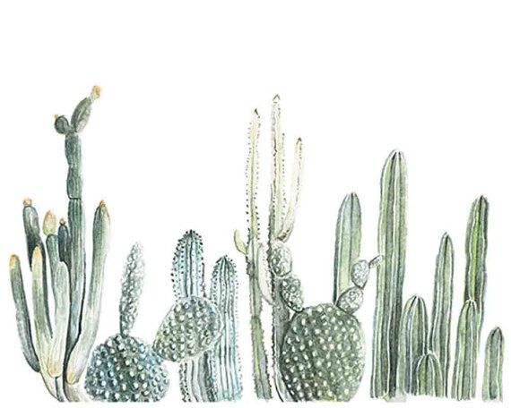 570x456 Cactus Row No 1 Art Print