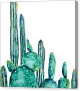 163x186 Cactus Watercolor 1 Painting By Color Color