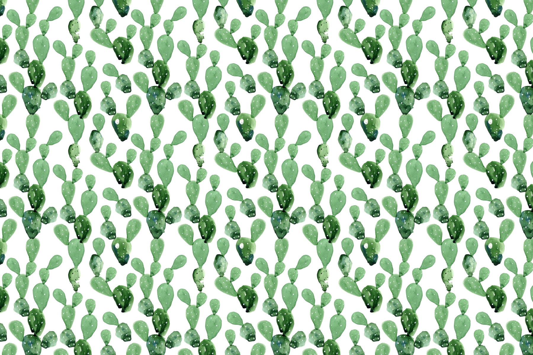 1800x1200 Cactus Watercolor Wall Mural Photo Wallpaper Nature