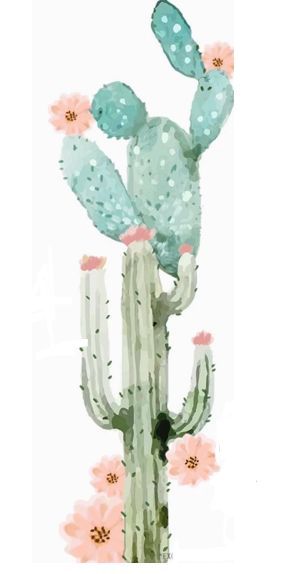295x574 Image Result For Cactus Watercolor Conversational Laminas