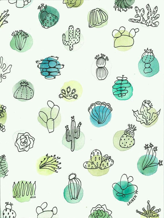 570x755 Watercolor Cactus Shared By Anne Rink On We Heart It