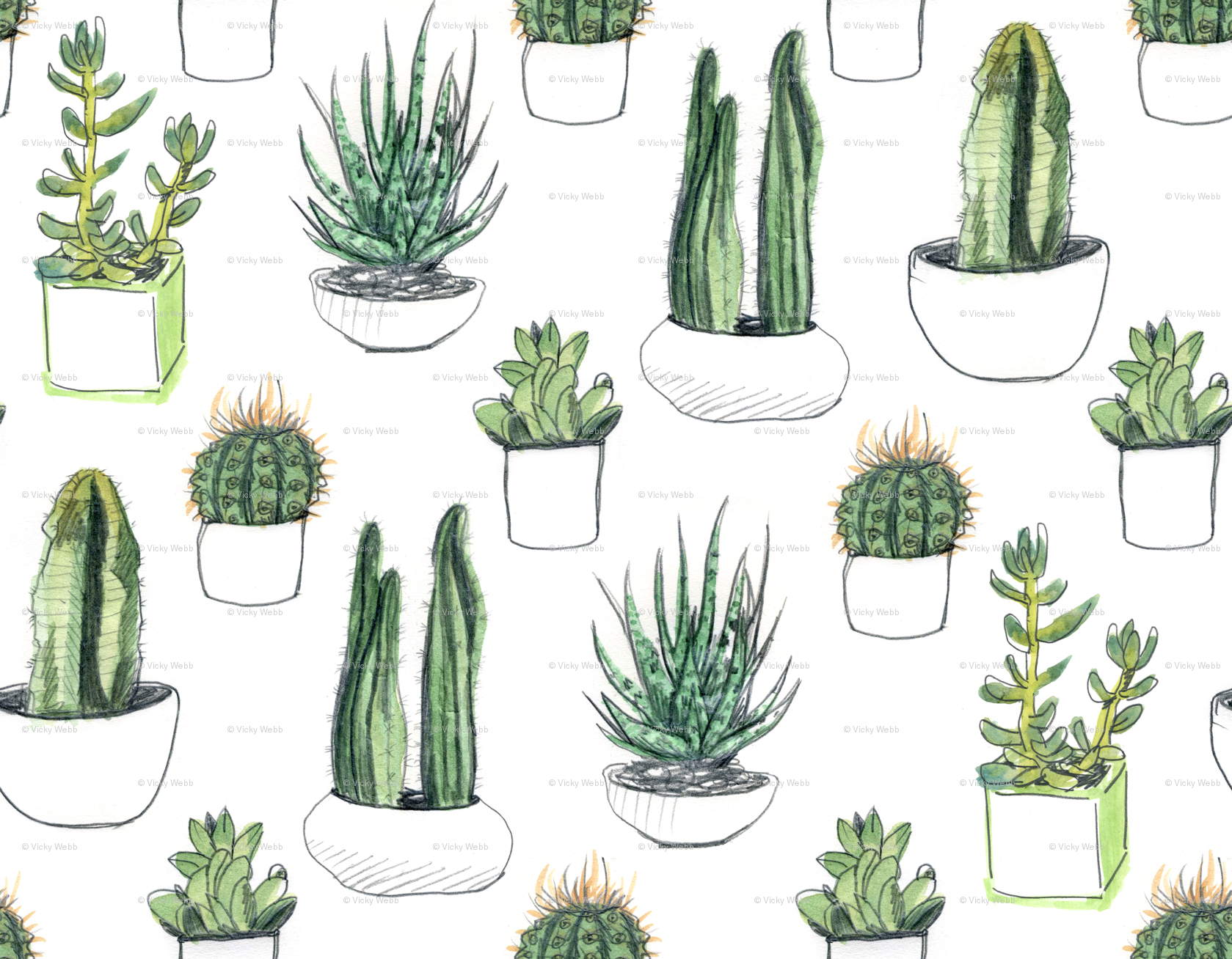 1679x1308 Watercolour Cacti And Succulents Wallpaper