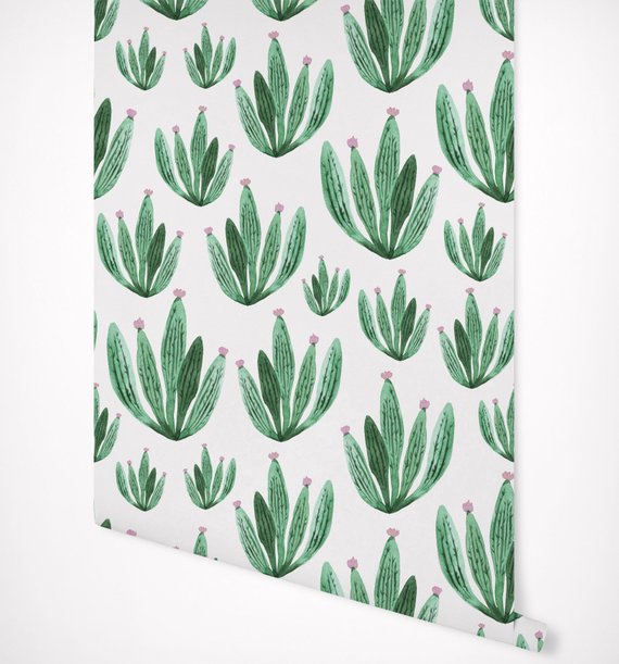 570x611 Cactus Watercolor Floral Wallpaper Self Adhesive Premium Etsy